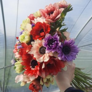 SOLD OUT -Bouquet de saison - 10 mars 2023